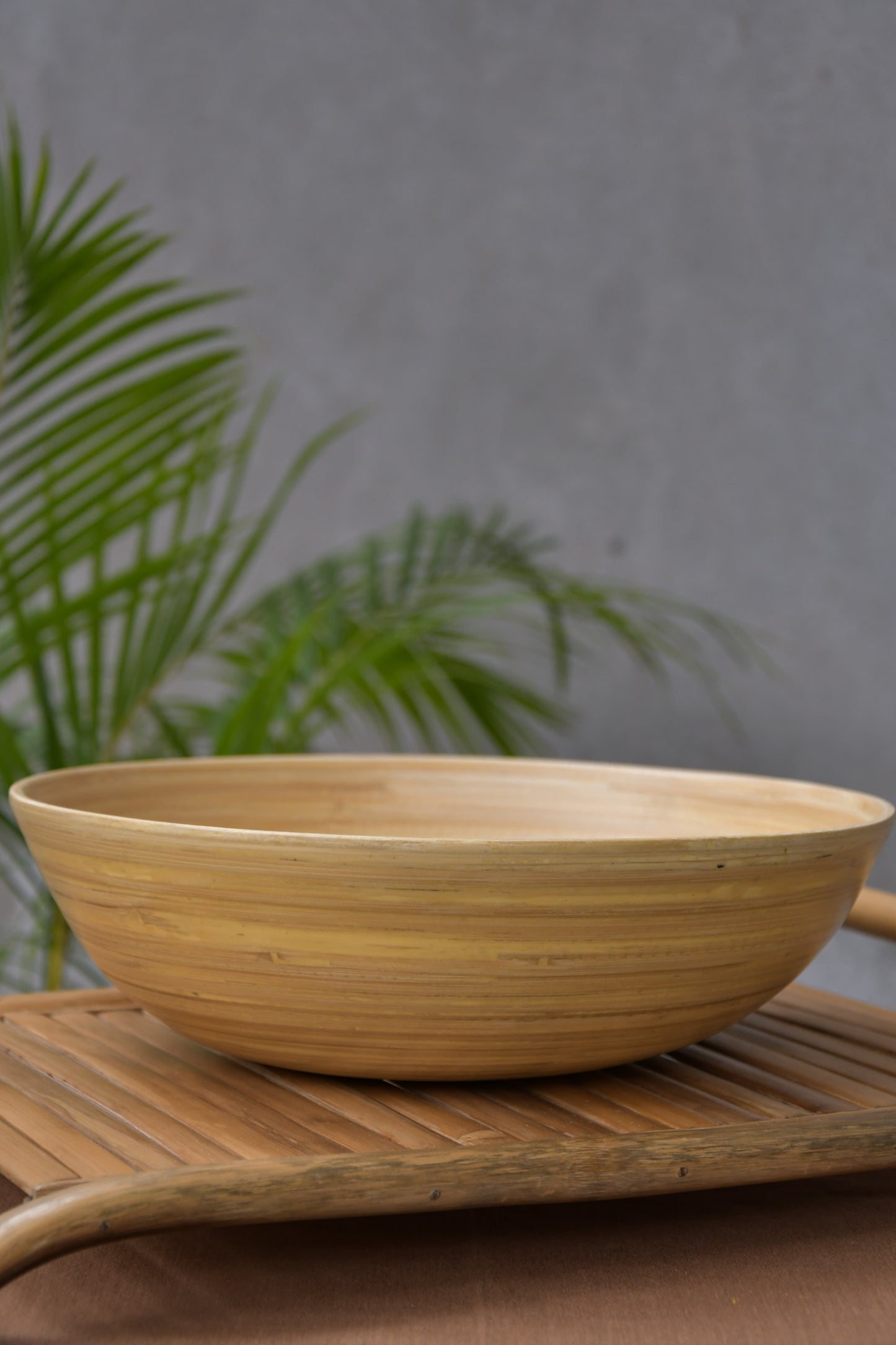Bamboo Bowl XXL in Solid Colours