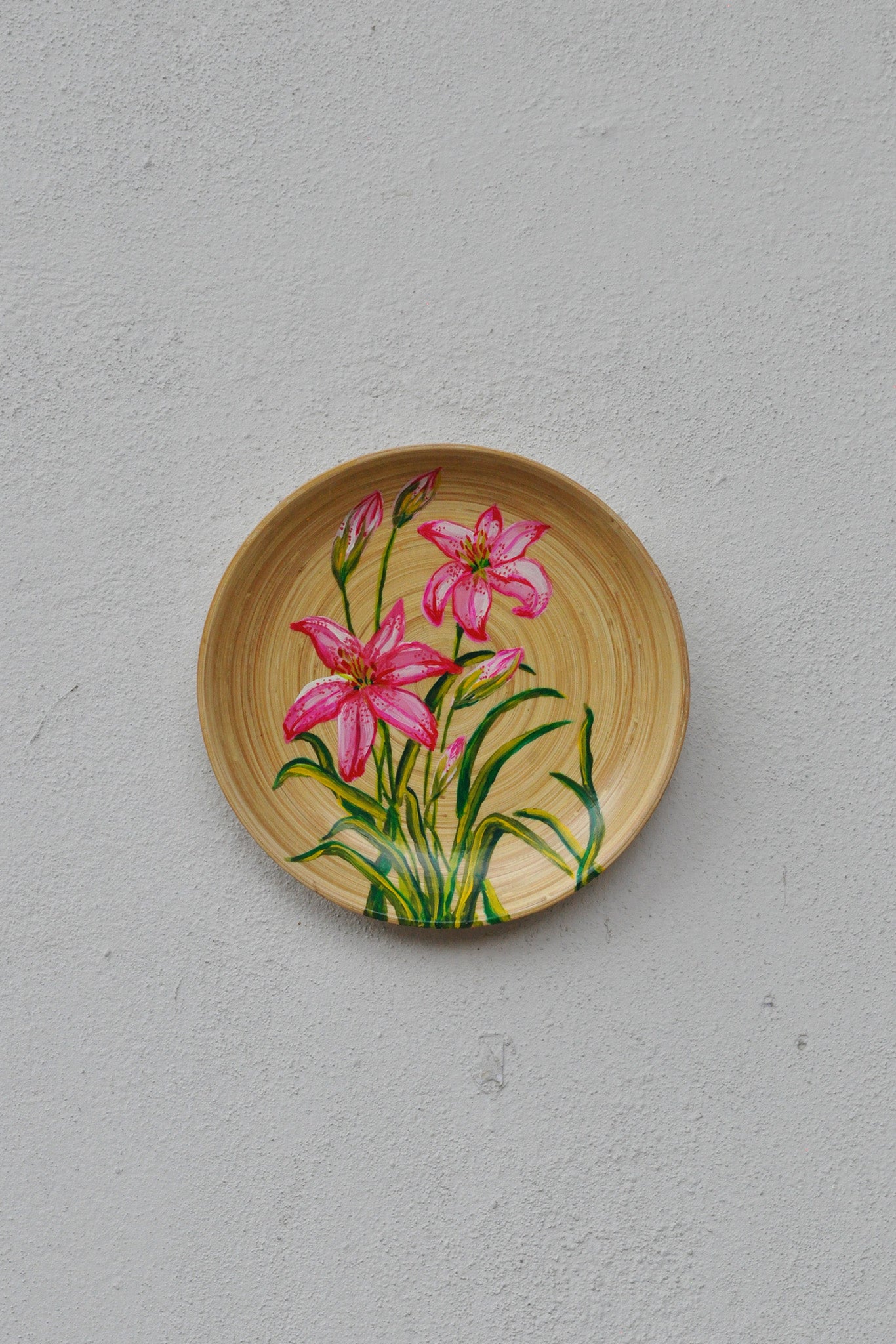 Hand-Painted Spun Bamboo Wall Plates S