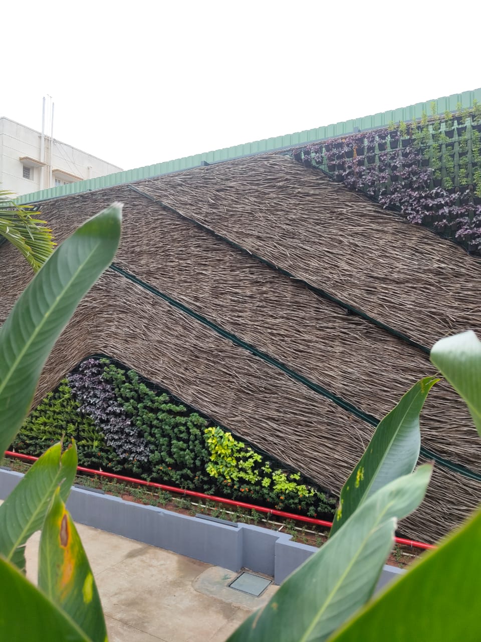 Lantana Cladding and Fencing