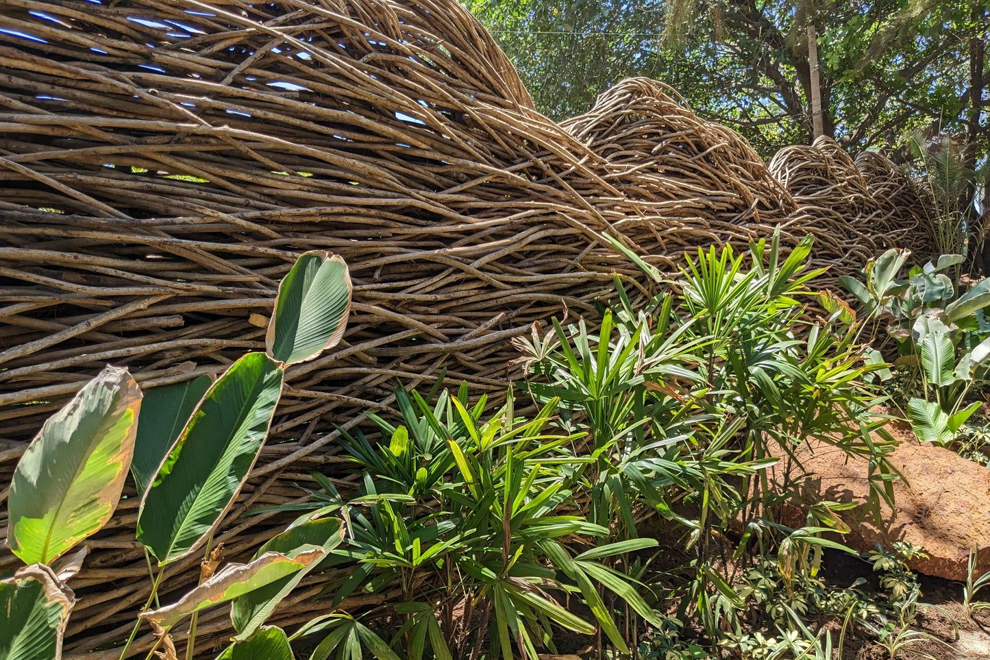 Lantana Cladding and Fencing