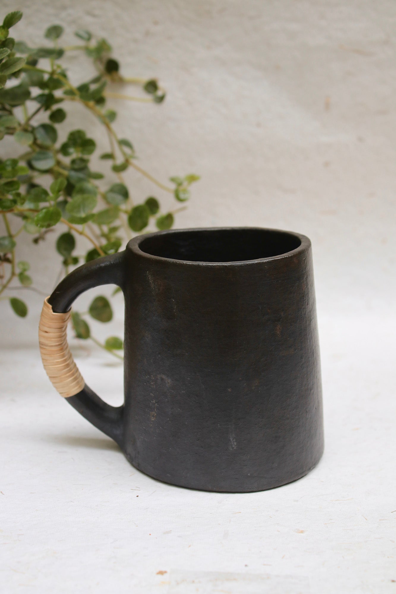 LongPi Pottery Nordic Beer Mug