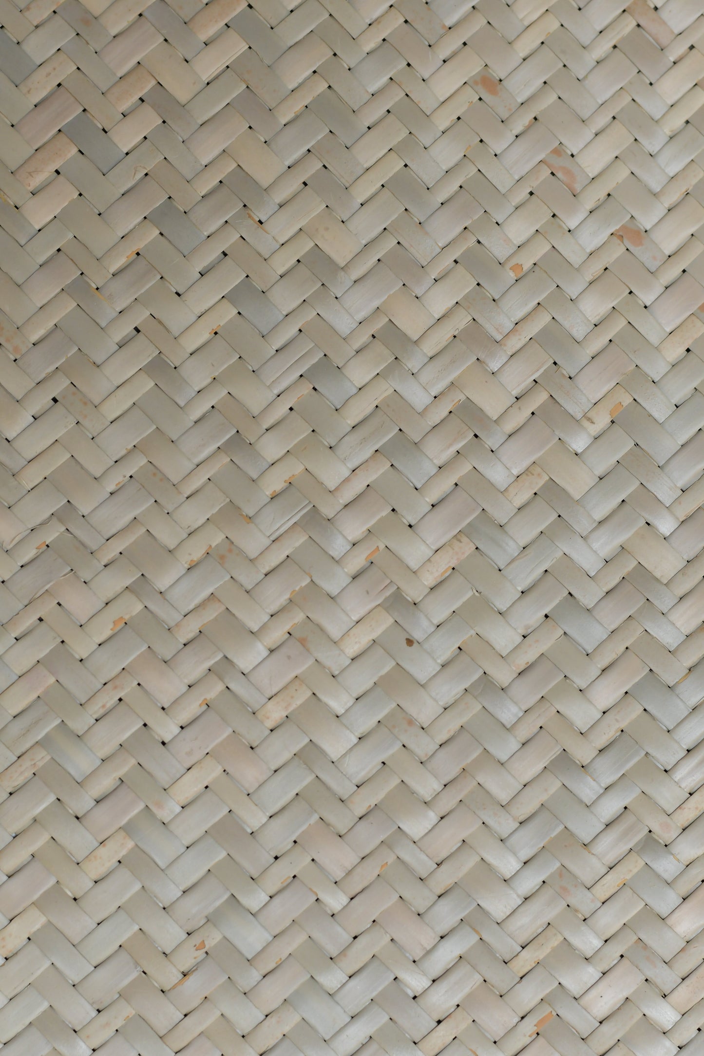 Mukta Boil Mat