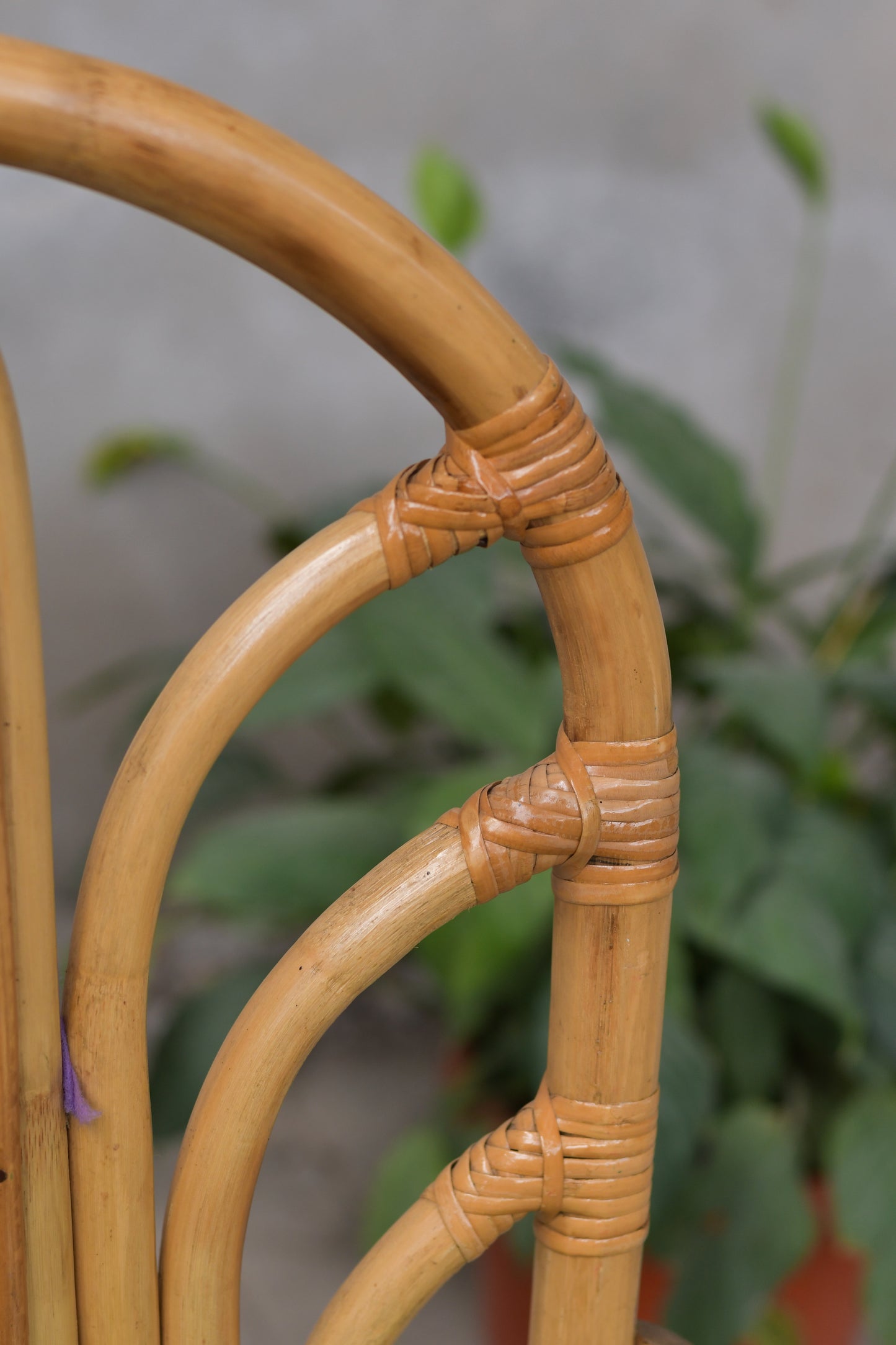 Alankrta Dining Chair