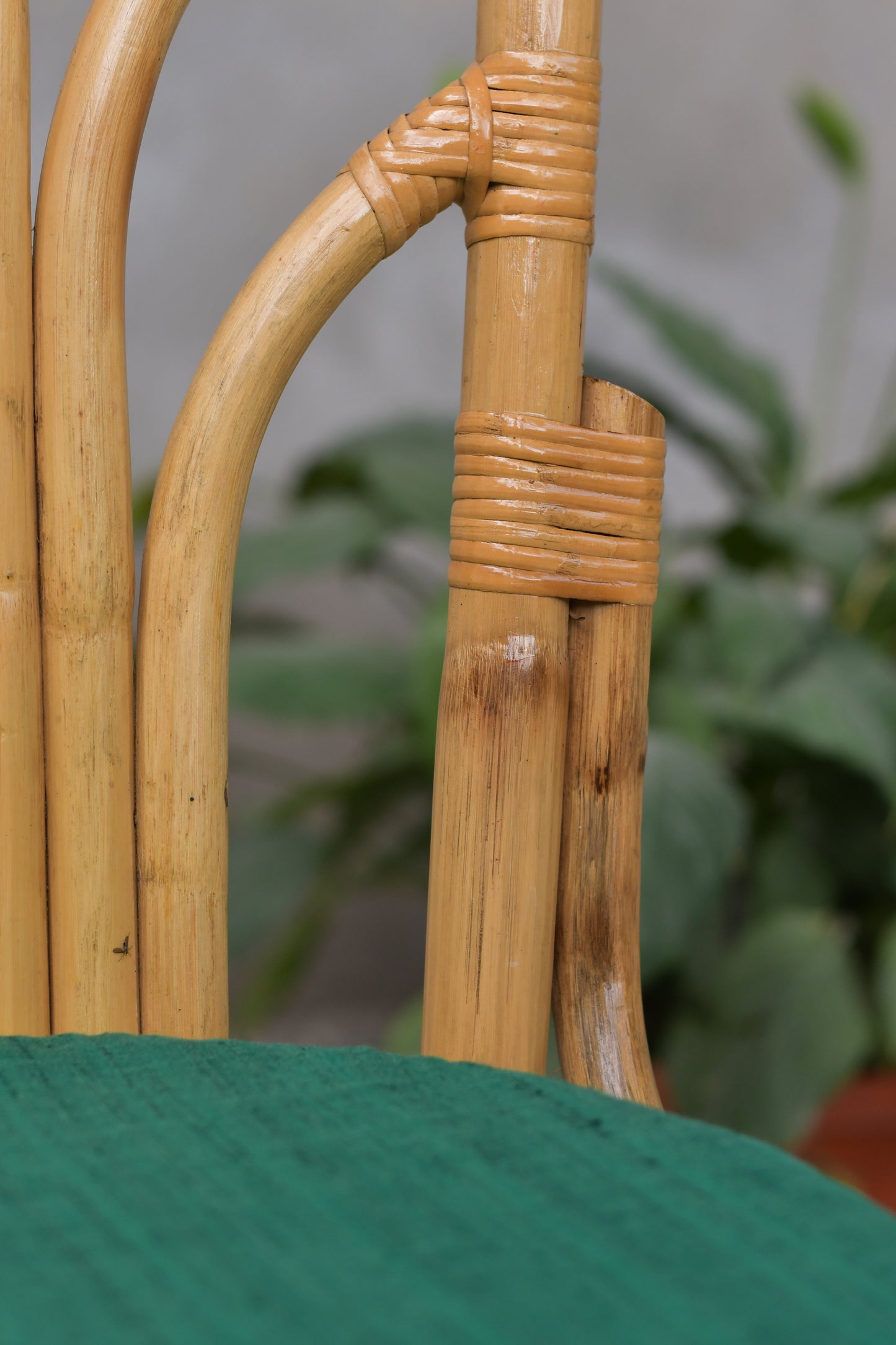 Alankrta Dining Chair