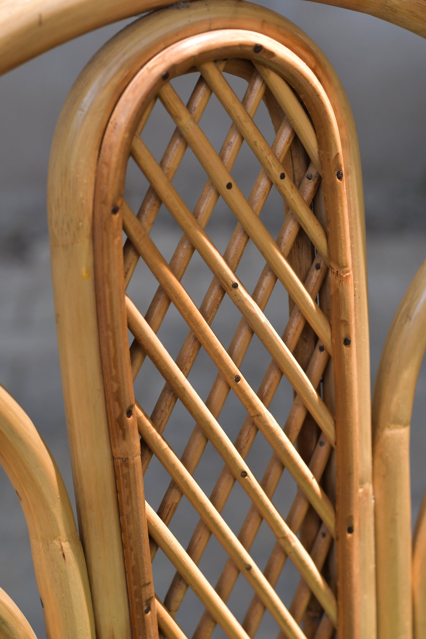 Alankrta Dining Chair