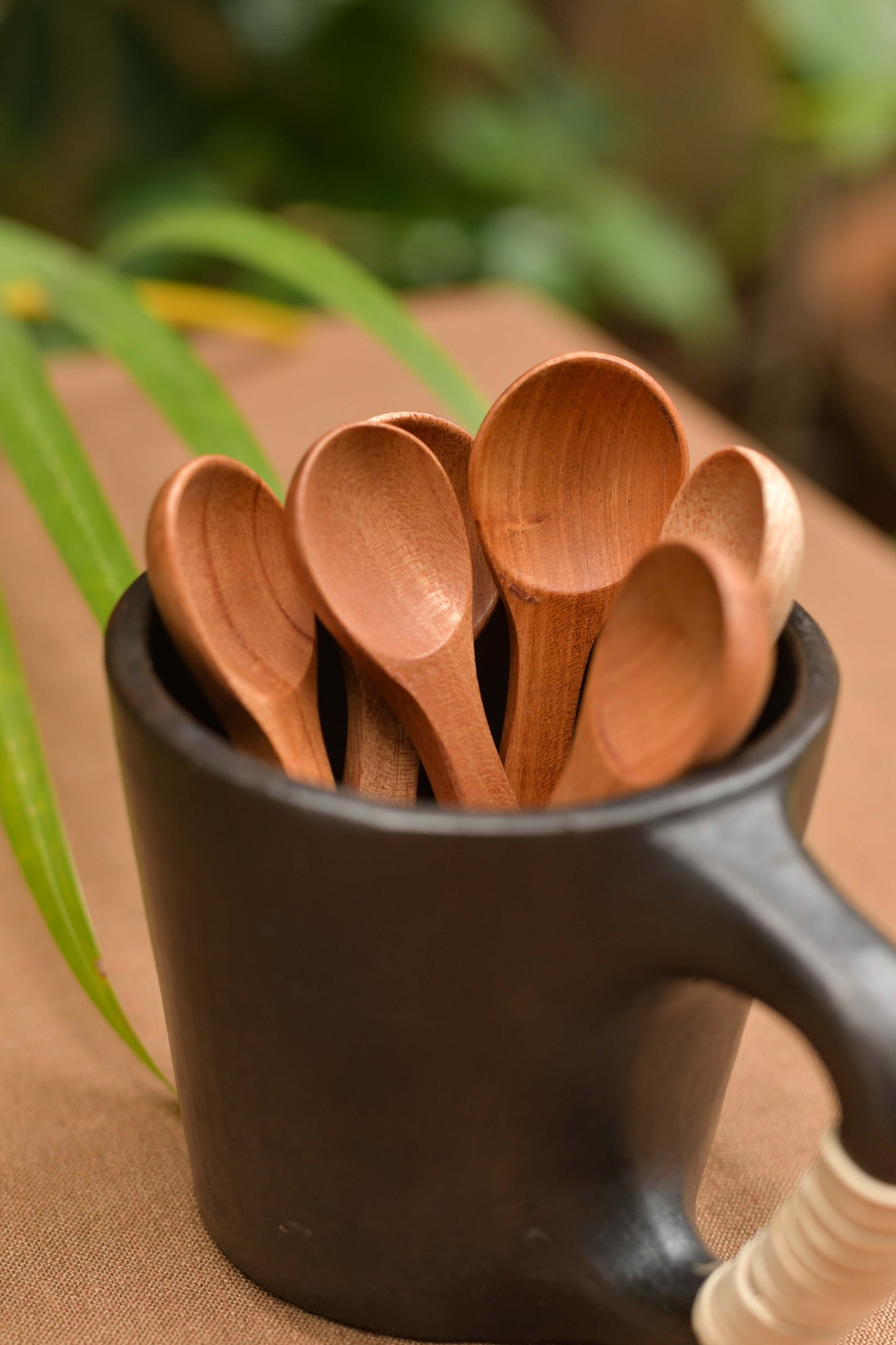 Neem Wood Salt Spoons - Set of 6