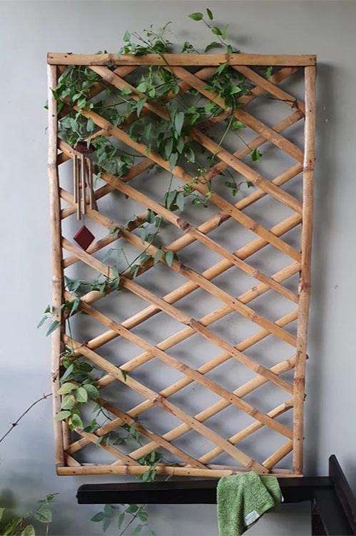 Orchid Panels