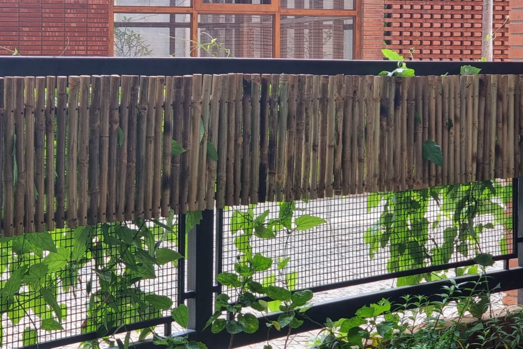 Bamboo Fencing