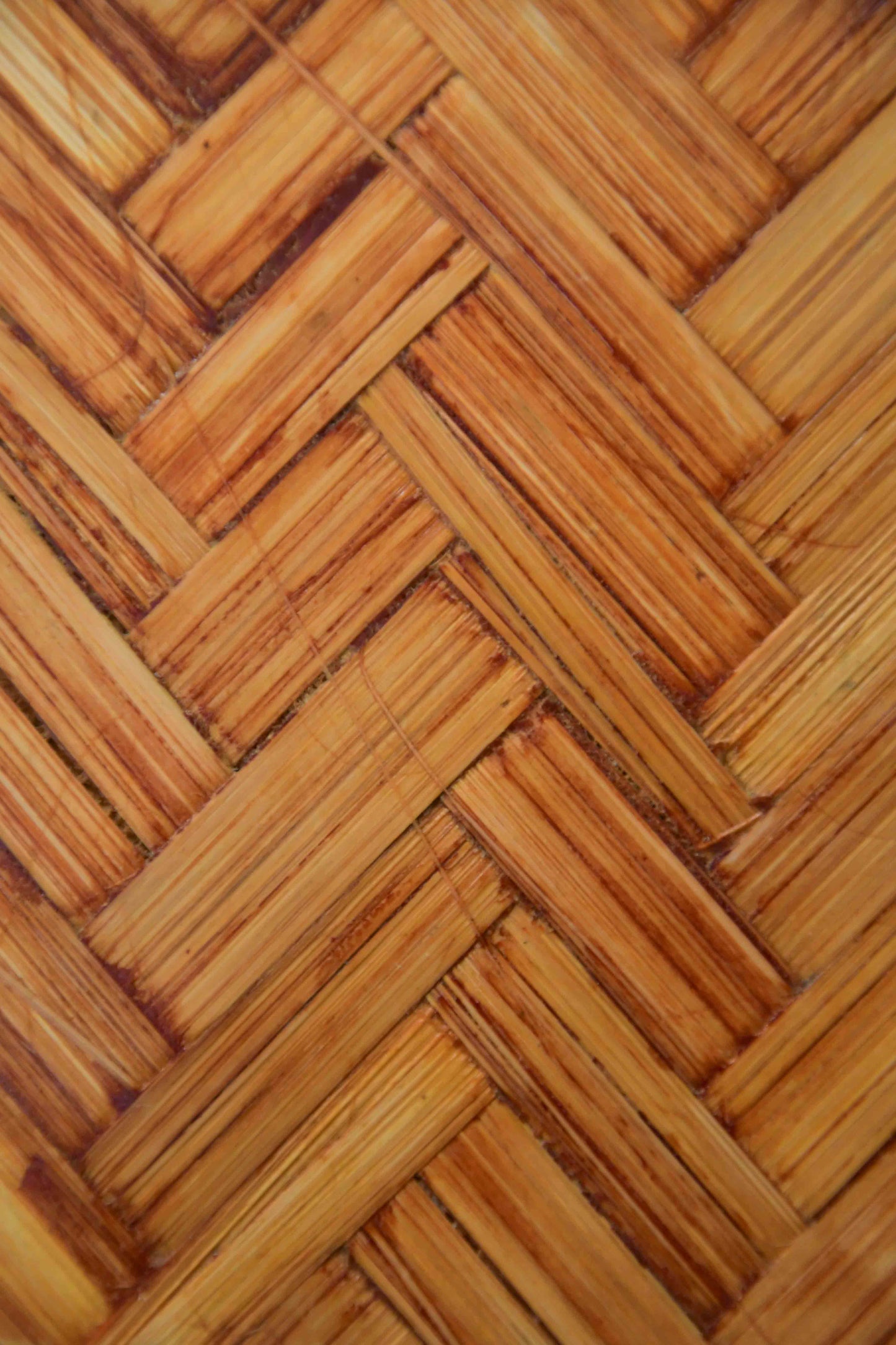 Bamboo Ply
