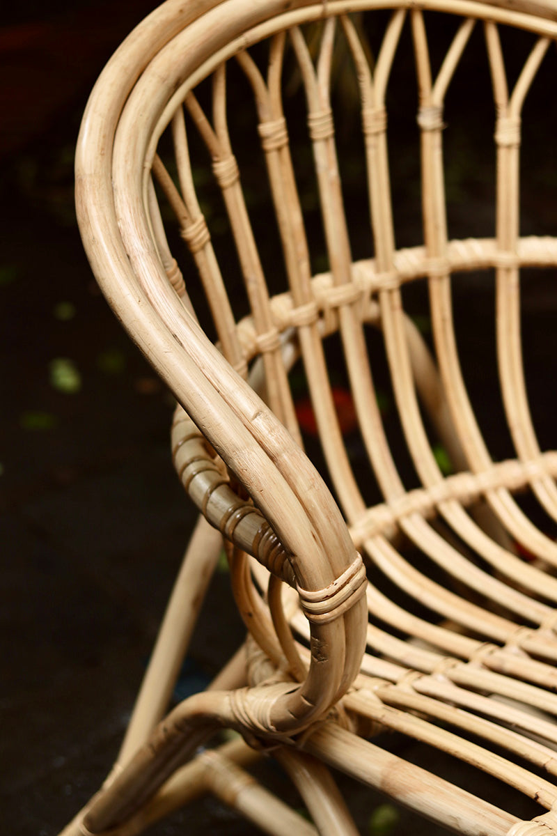 Sumukh Cane Lounger