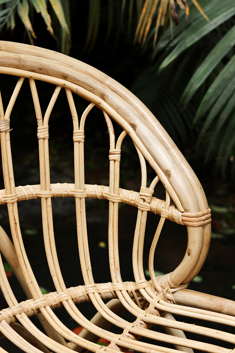 Sumukh Cane Lounger