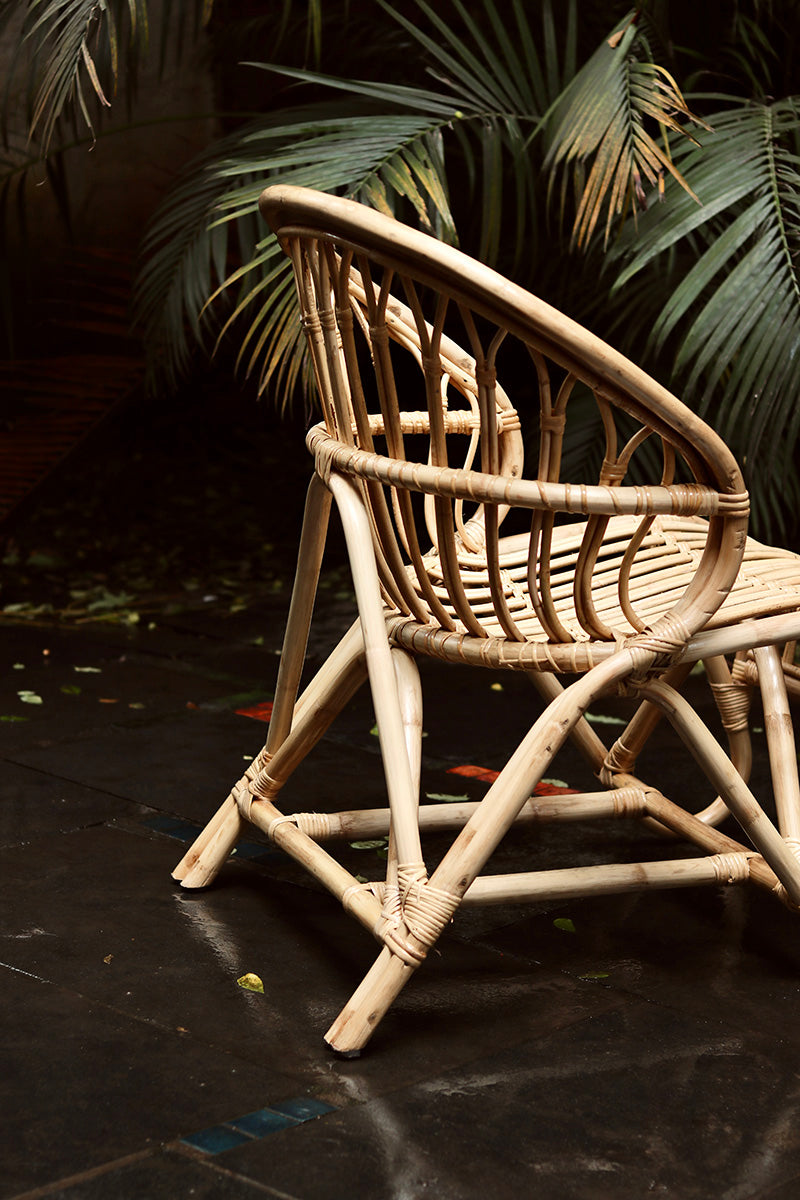 Sumukh Cane Lounger