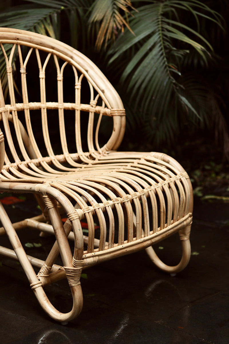 Sumukh Cane Lounger