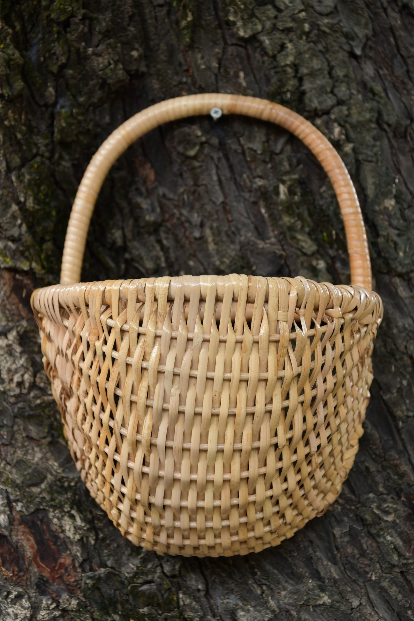 Hatsul Half Rattan planter