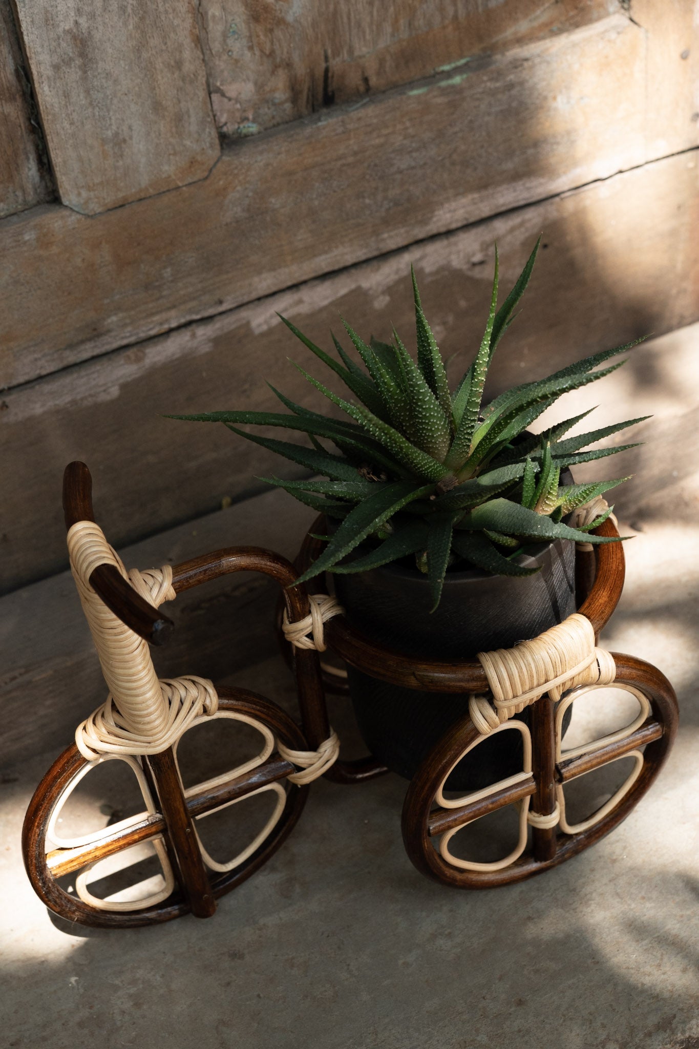 Tricycle planter