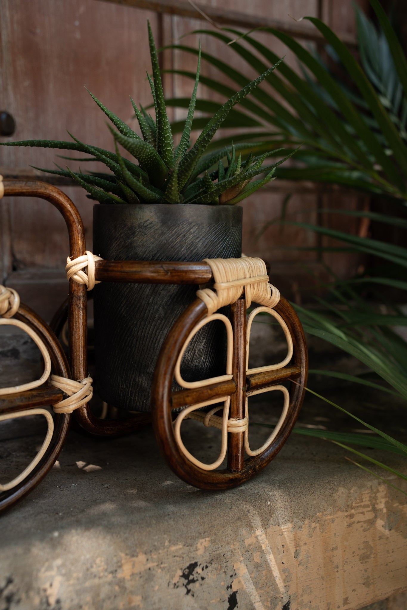 Tricycle planter
