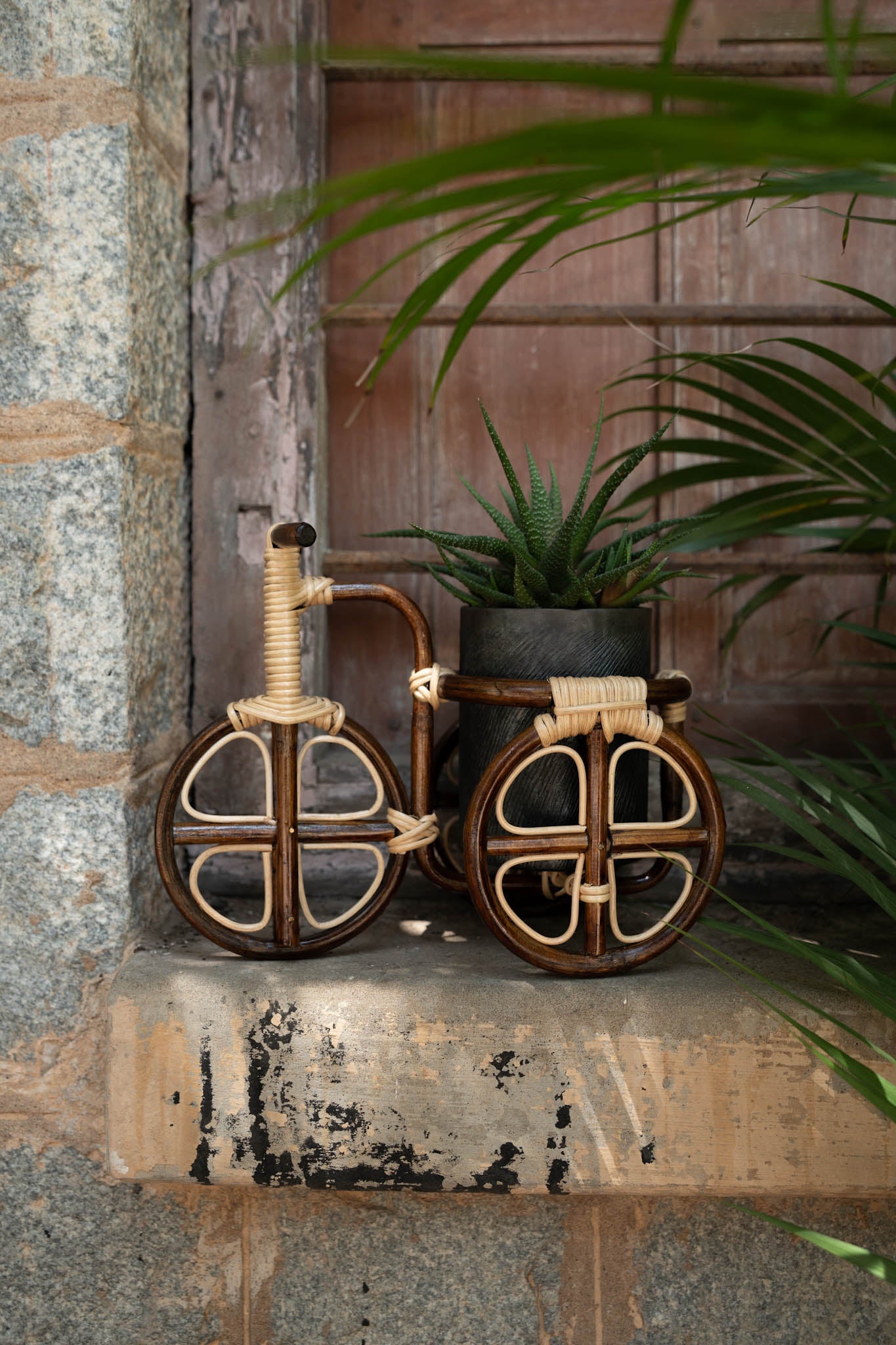 Tricycle planter