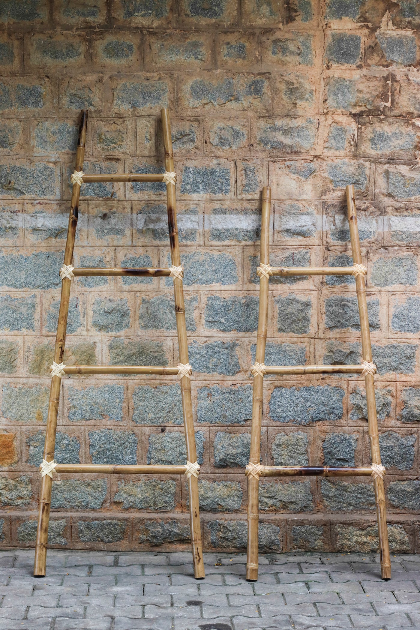 Abhigya Bamboo Ladder