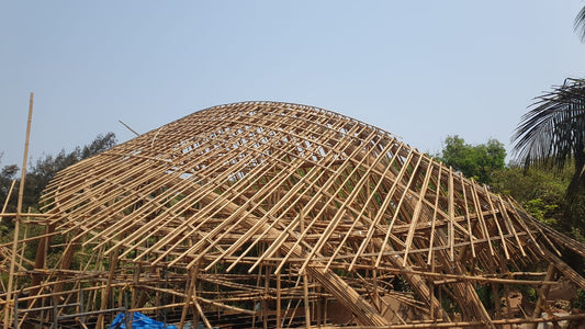 Tree House, Goa