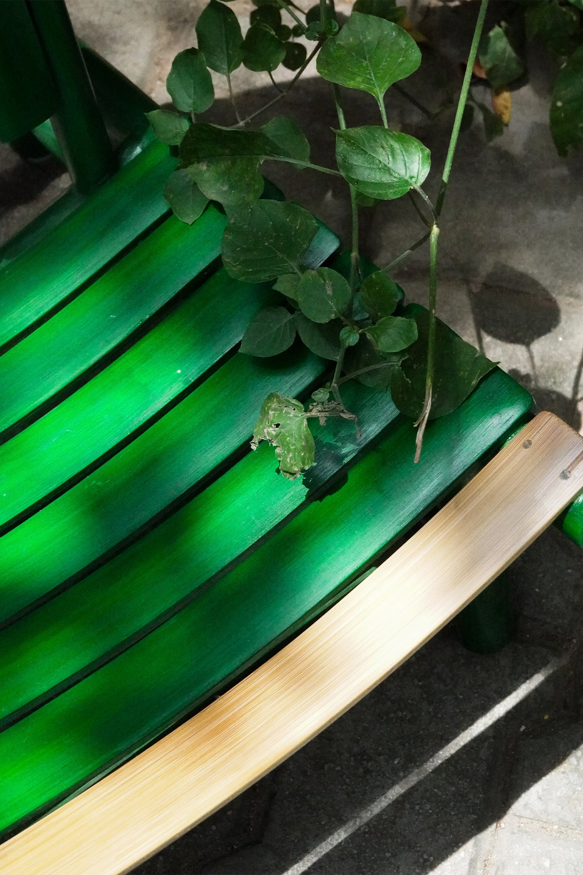 Ocha Bamboo Chair - Green
