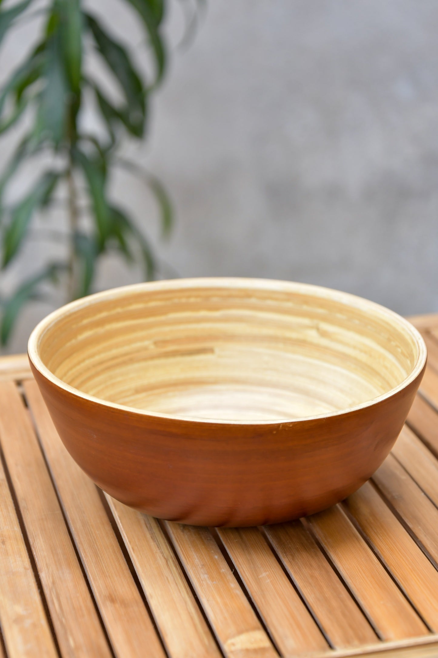 Bamboo Bowl S