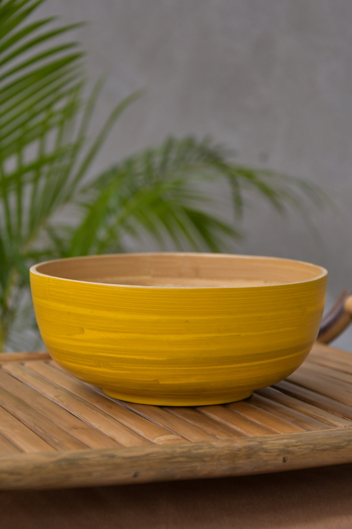 Bamboo Bowl SM - Set of 2 - Brown and Yellow