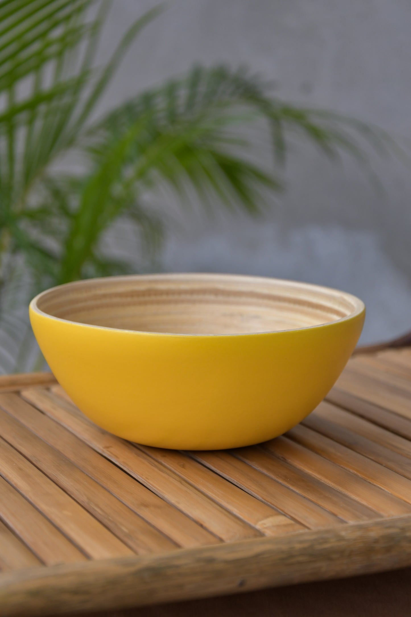 Bamboo Bowl S in Solid Colours