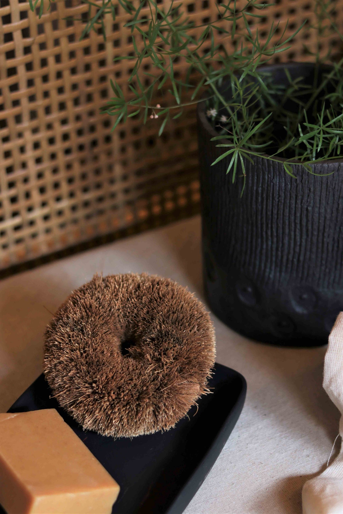 Coconut Vessel Scrubber