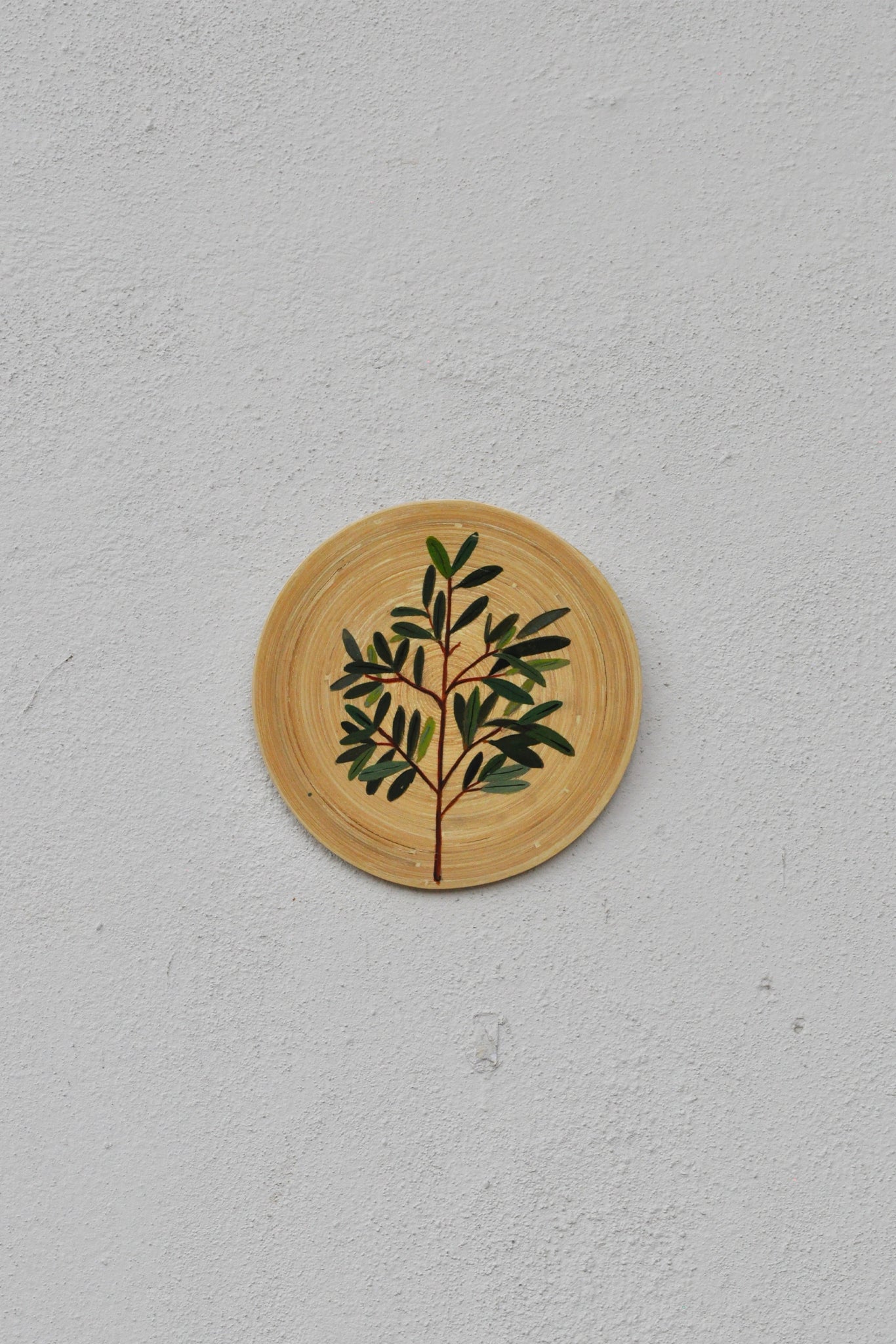 Hand-Painted Spun Bamboo Wall Plates S