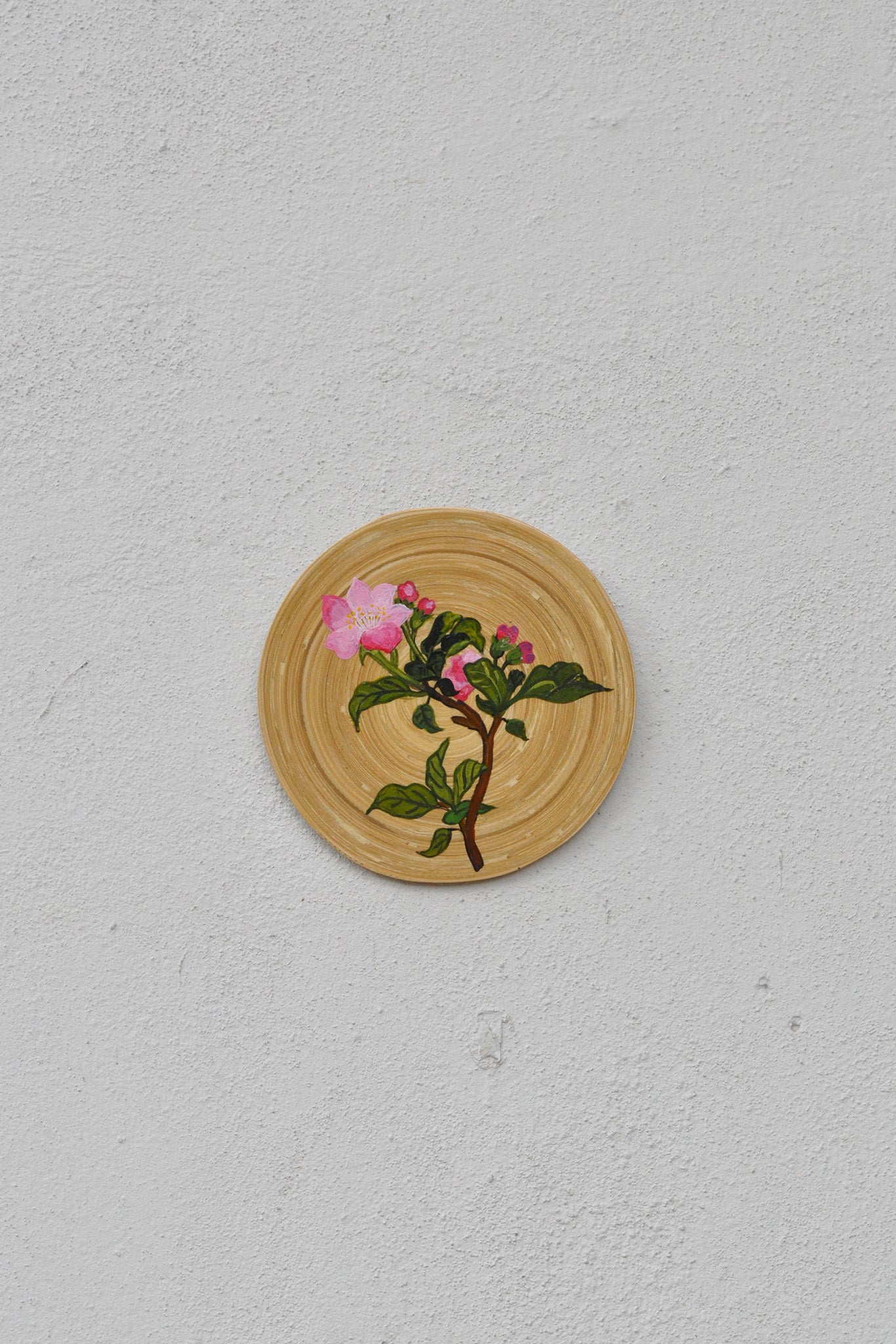 Hand-Painted Spun Bamboo Wall Plates S