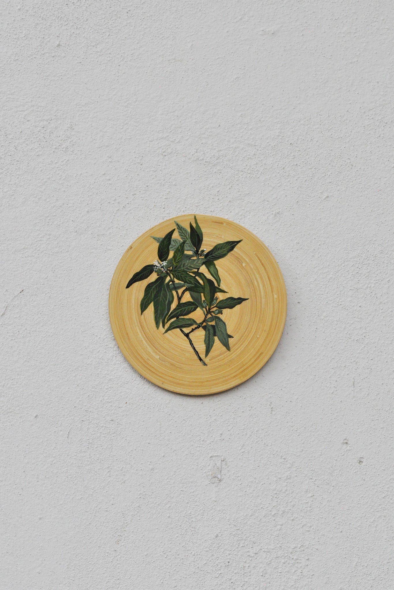 Hand-Painted Spun Bamboo Wall Plates S
