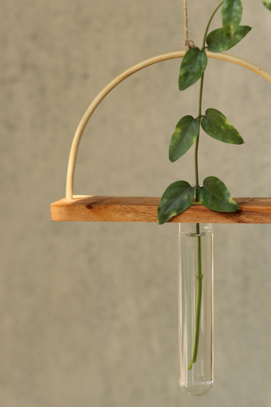 Roots test tube planter