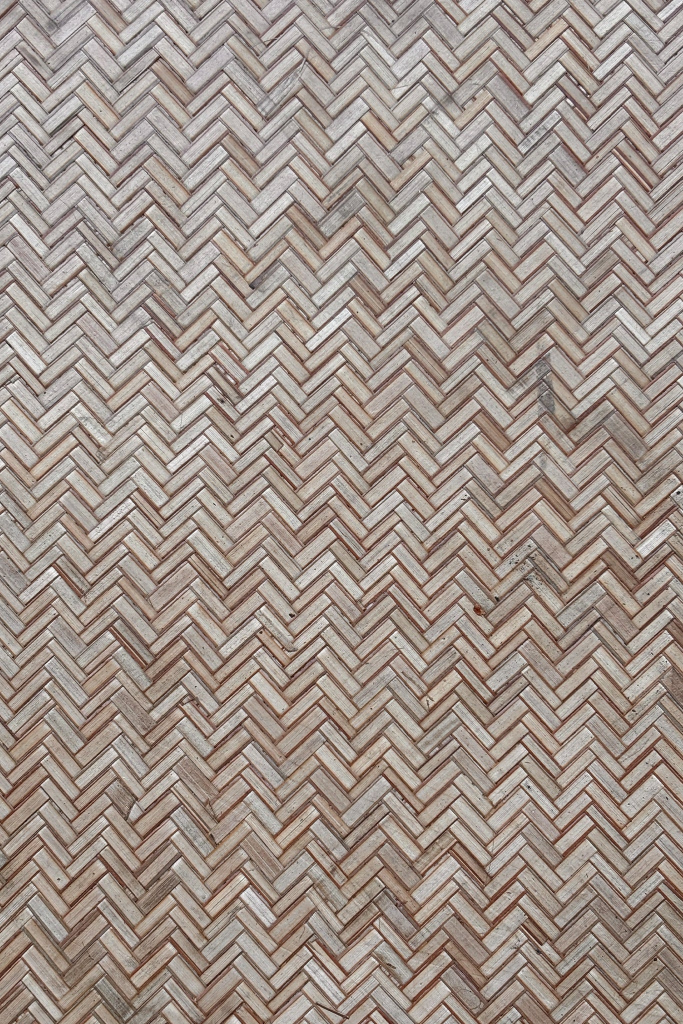Sheetal Pati Ply