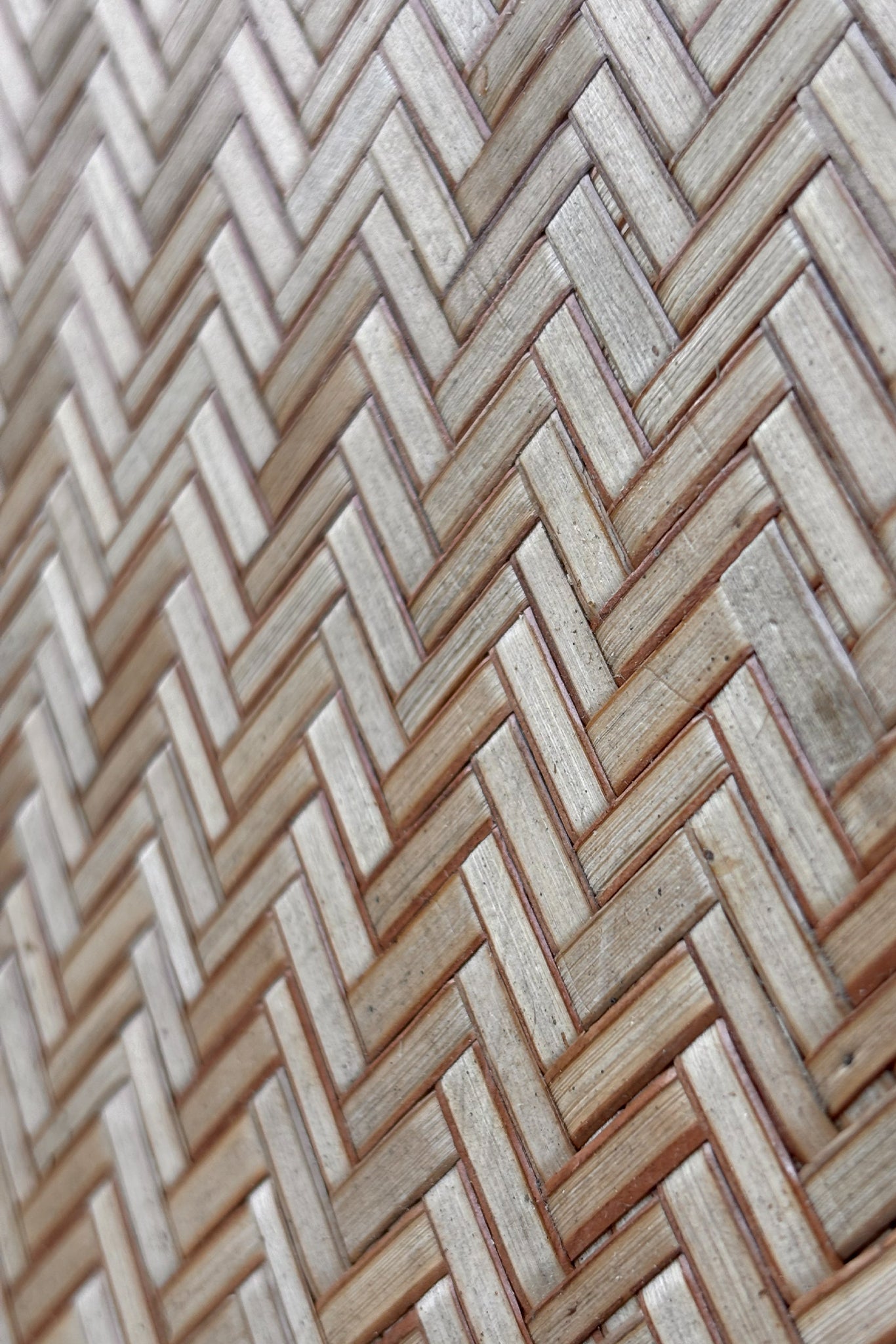 Sheetal Pati Ply