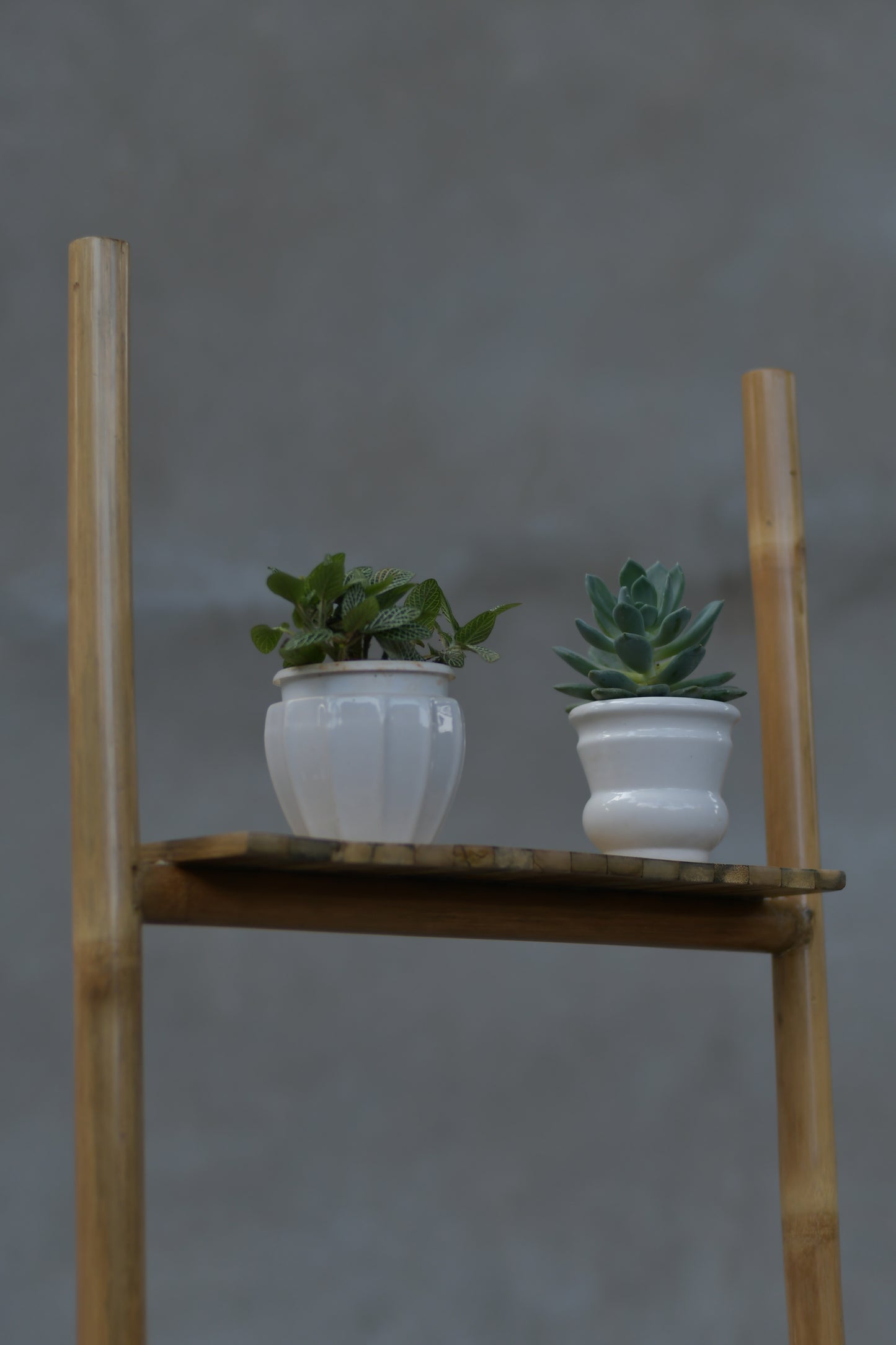 Pranaya Ladder Shelf