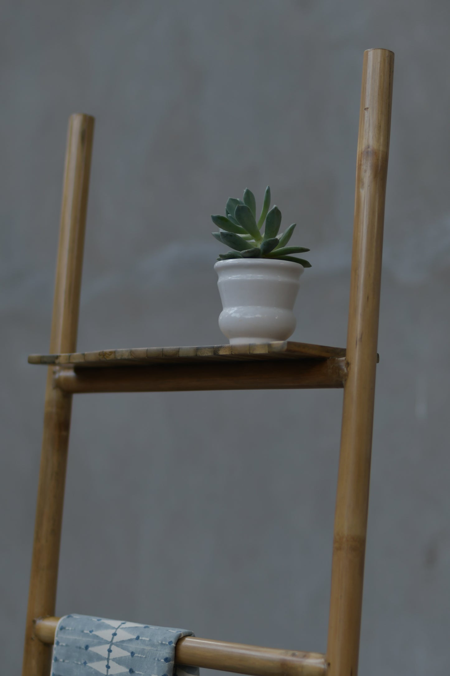 Pranaya Ladder Shelf