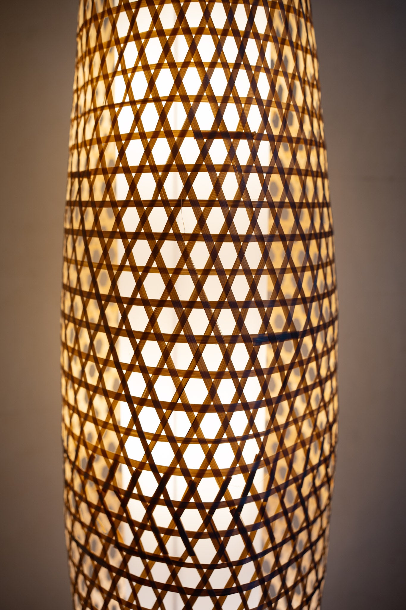 Aanan Bamboo Floor Lamp