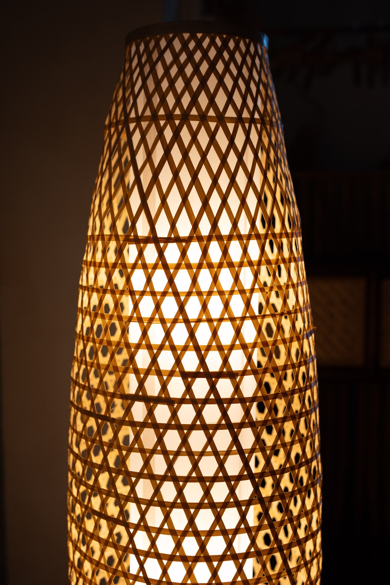 Aanan Bamboo Floor Lamp