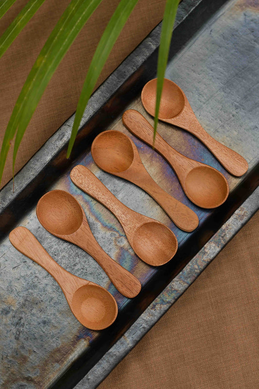 Neem Wood Salt Spoons - Set of 6