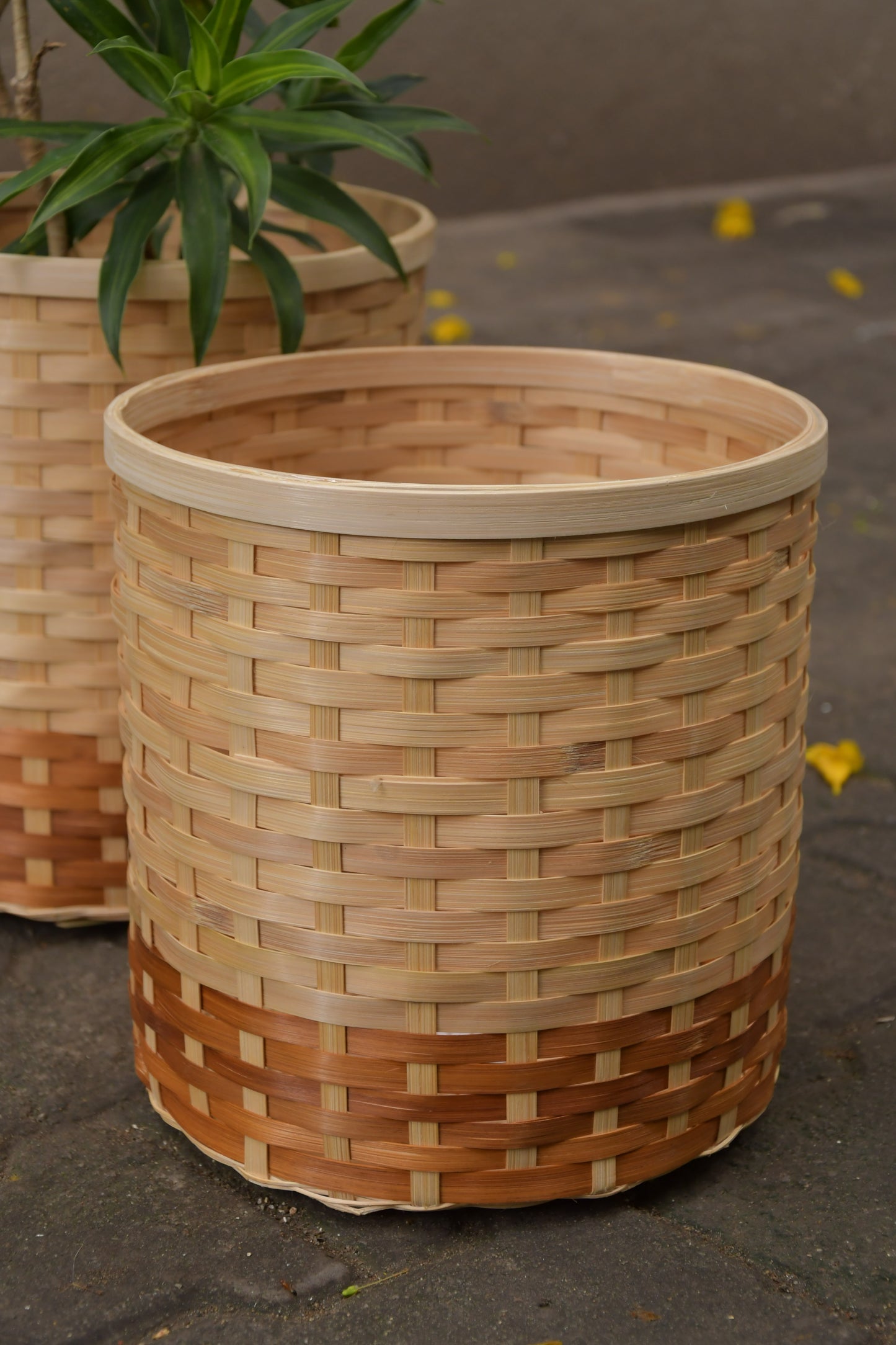 Aarav Bamboo Bin