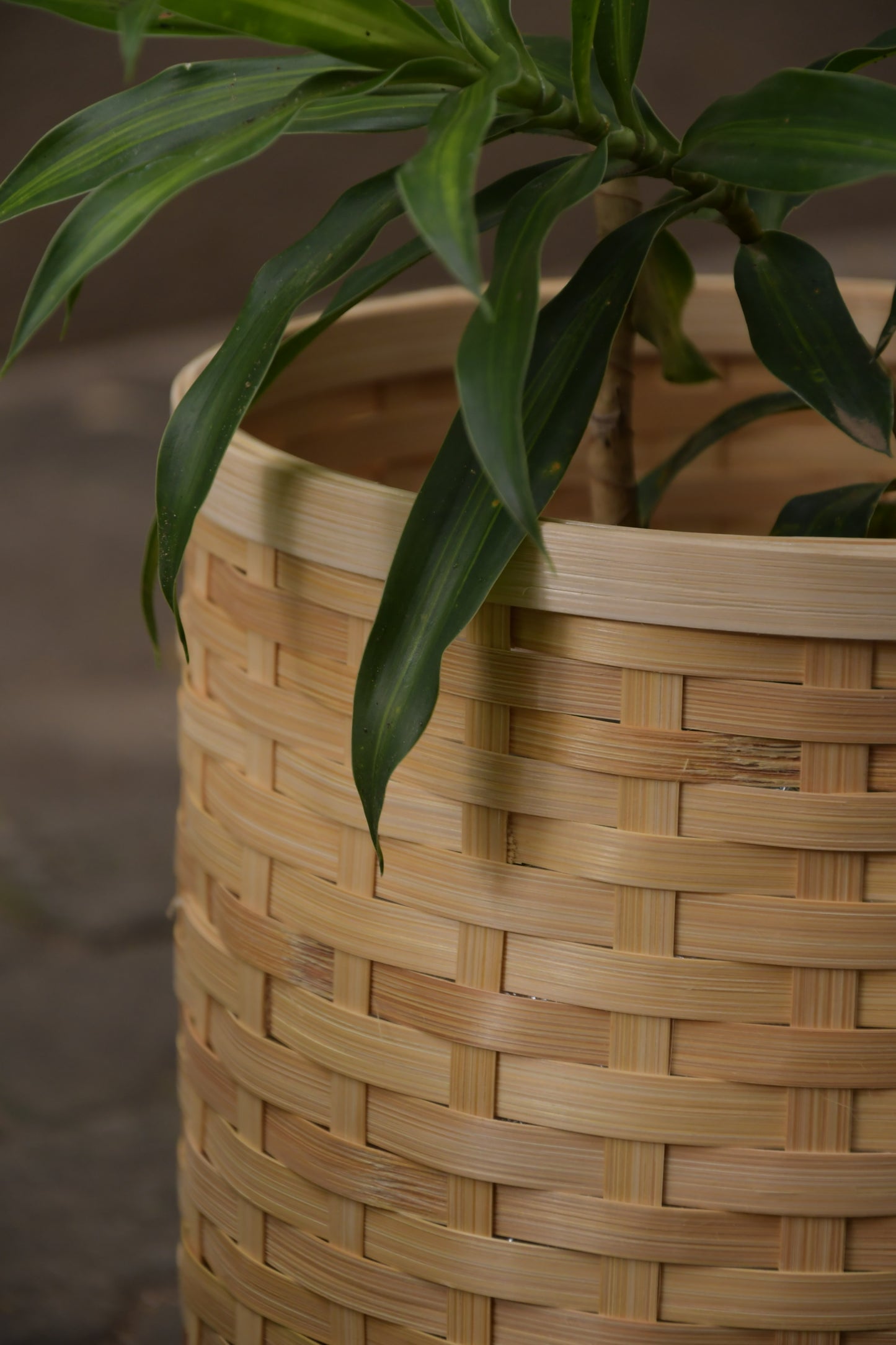 Aarav Bamboo Bin