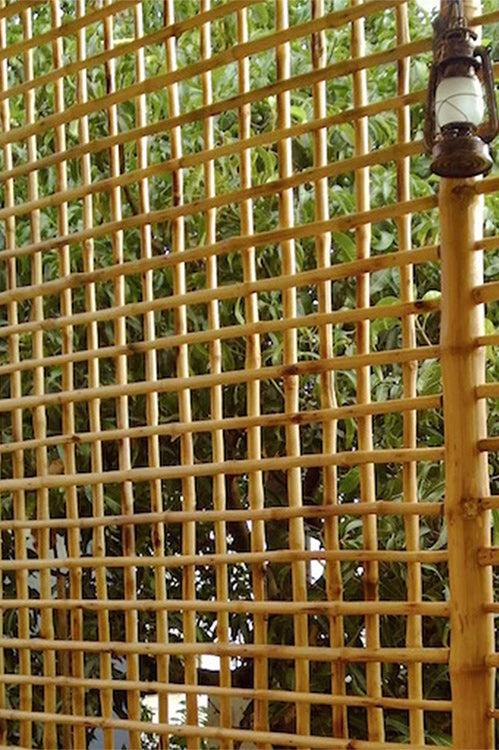 Grid Panels – Bamboopecker