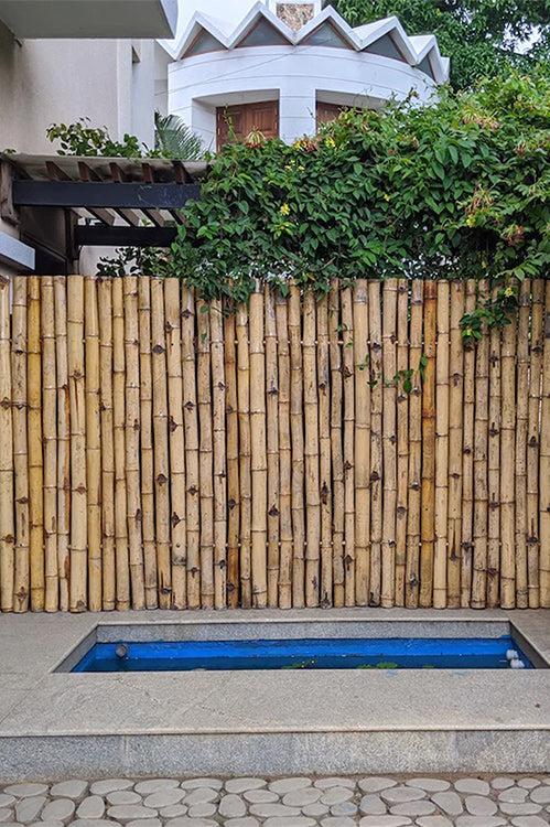 Bamboo Fencing