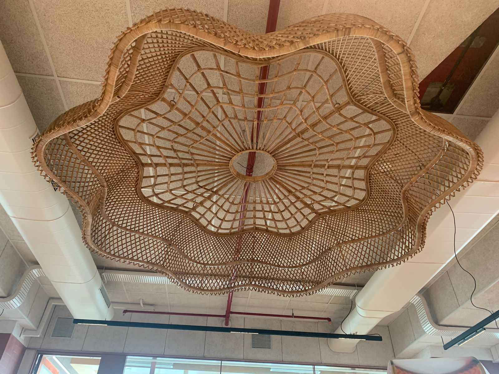 Google Office - Mumbai – Bamboopecker