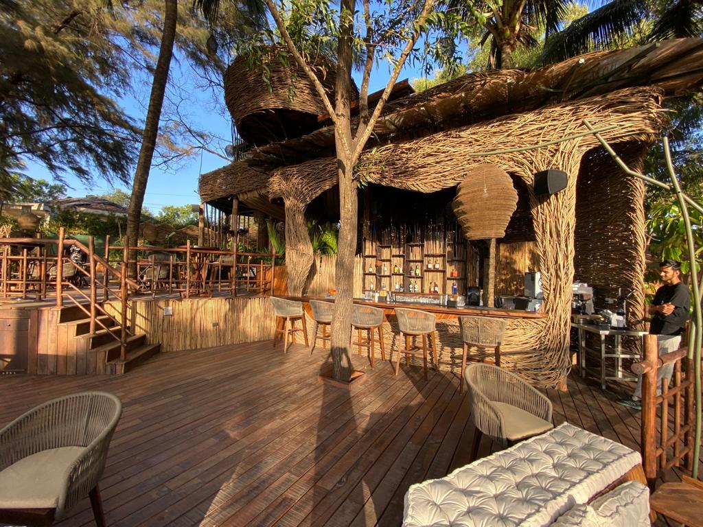 Como Agua - Goa – Bamboopecker