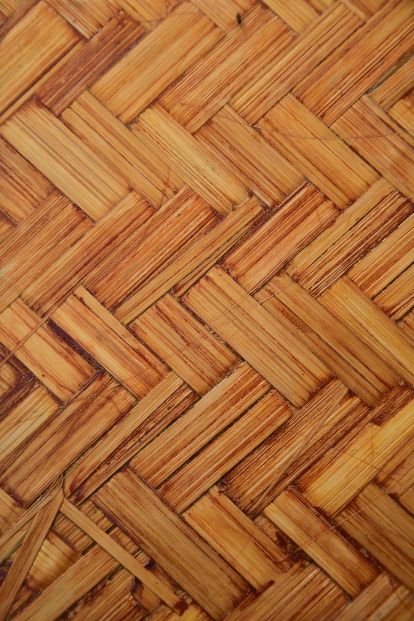 Bamboo Ply