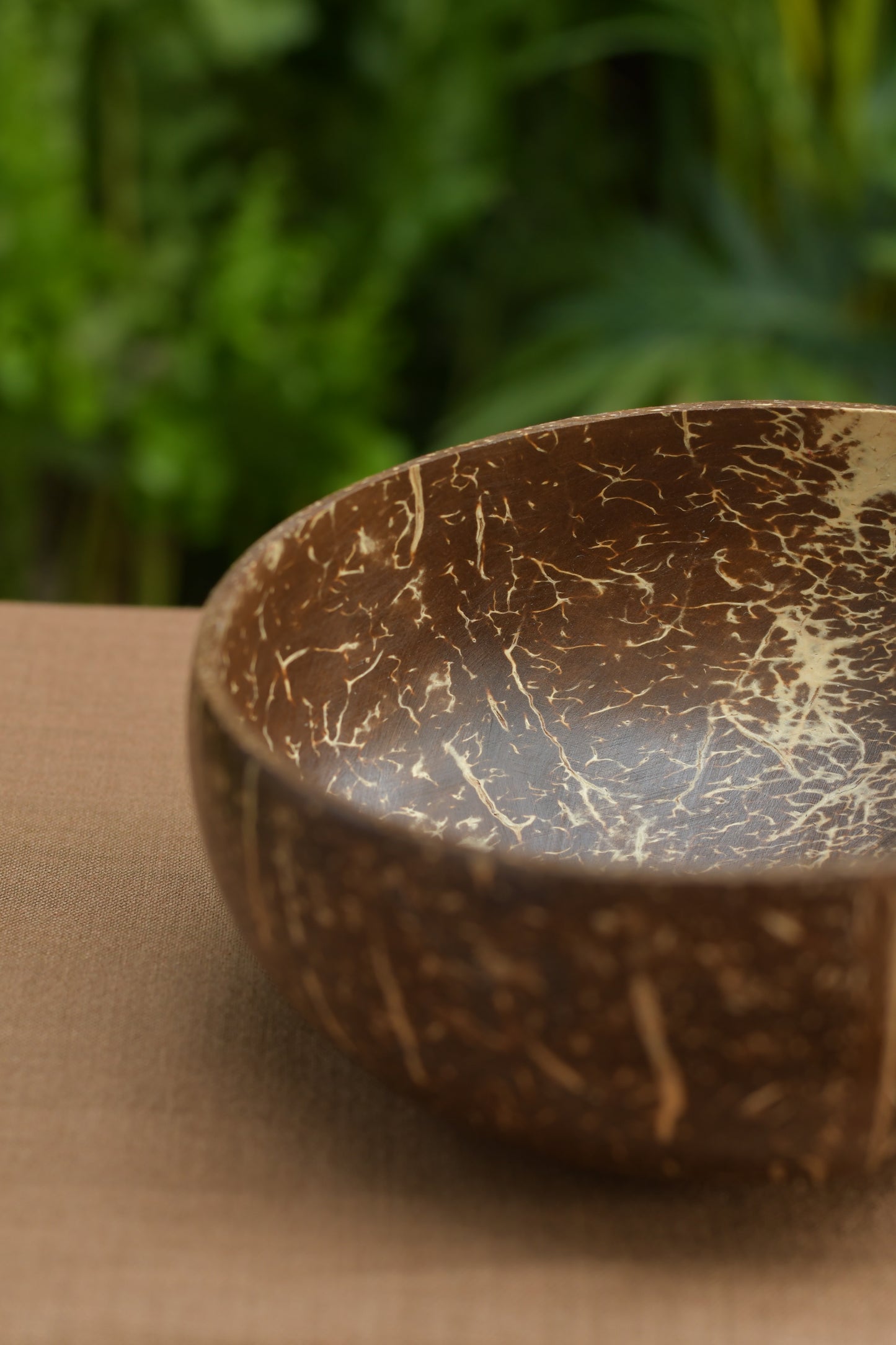 Natural Coconut Bowl