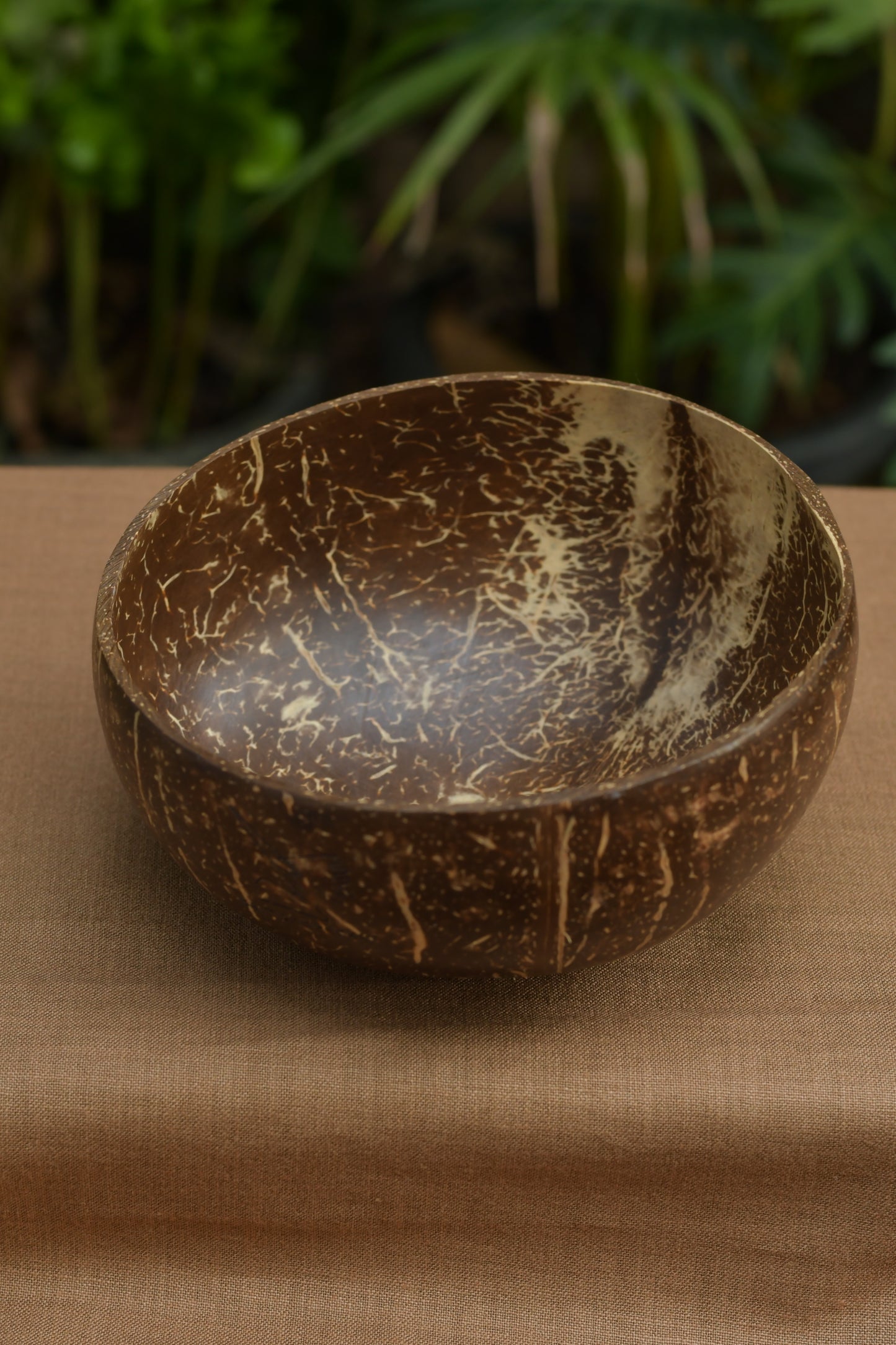 Natural Coconut Bowl