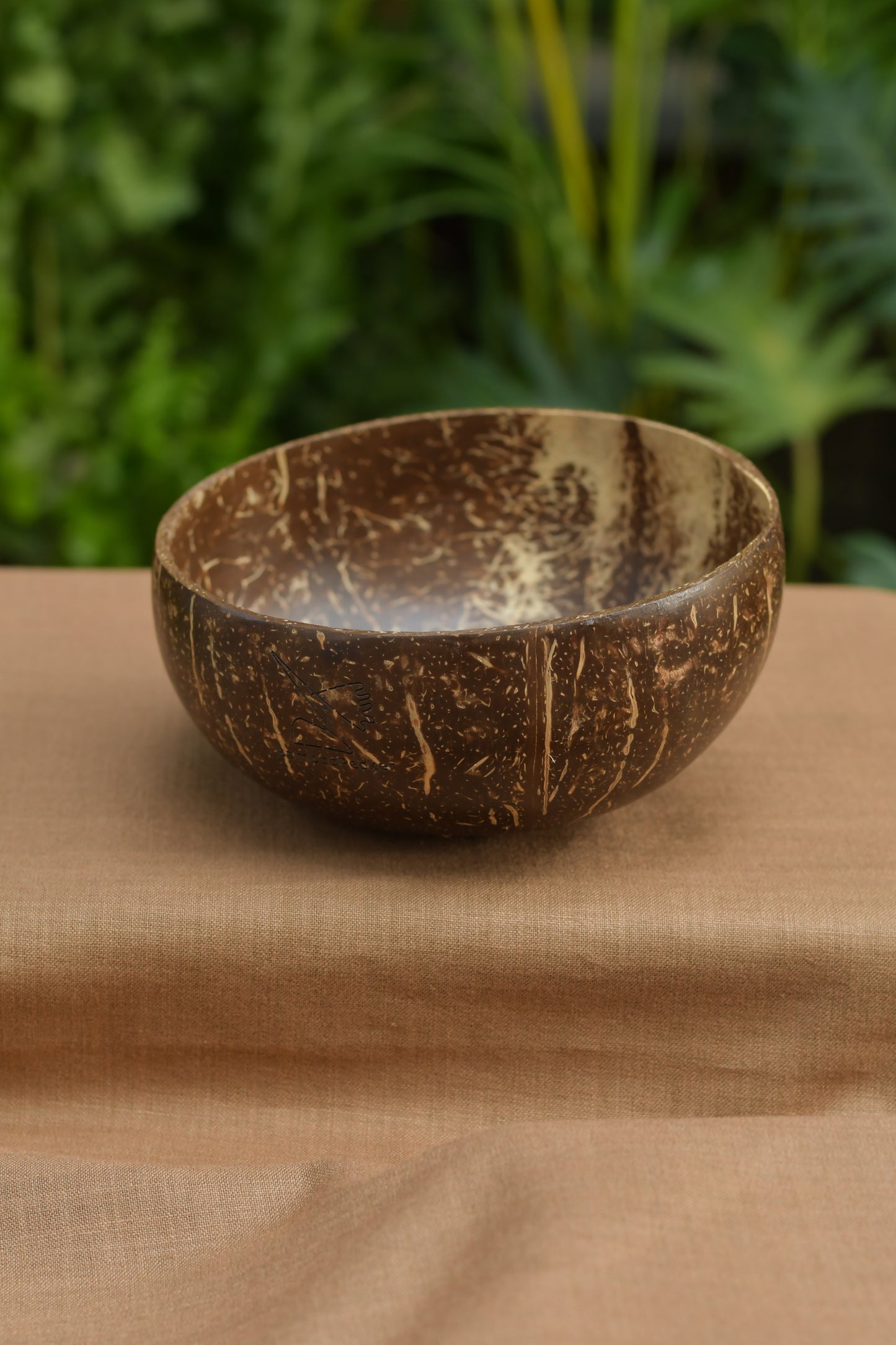 Natural Coconut Bowl