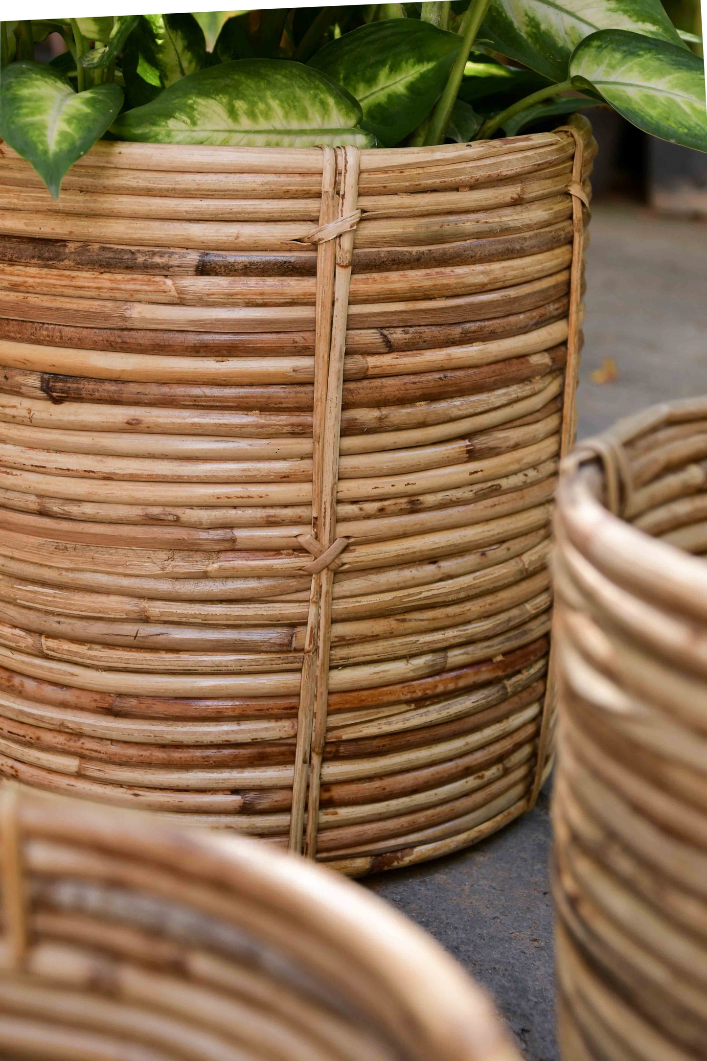 Nagaon coiled basket